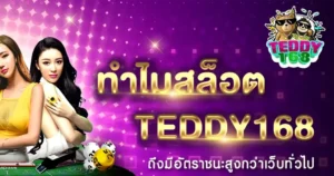 ทำไมสล็อต TEDDY168 อัตราชนะสูง เว็บสล็อตคาสิโน